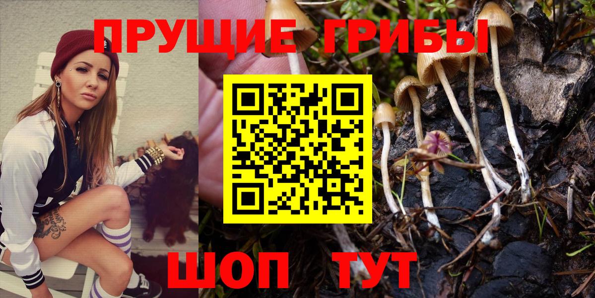 Пенза  Галлюциногенные грибы мухоморы  закладка  Вход с VPN 