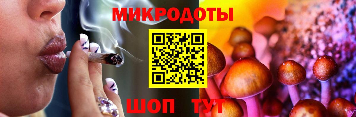 Галлюциногенные грибы Psilocybine cubensis Пенза